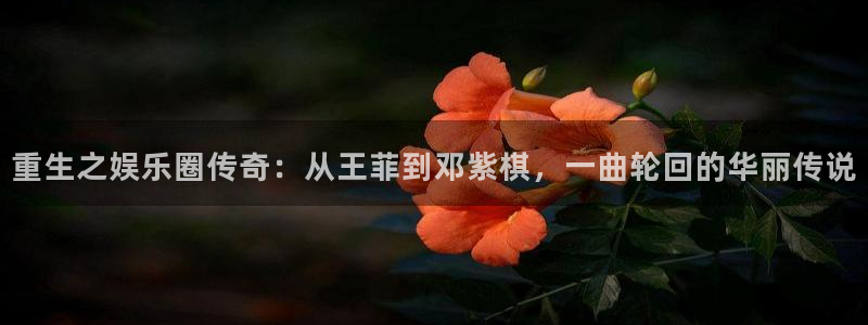 环球360一比一：重生之娱乐圈传奇：从王菲到邓紫棋，一曲轮回的华丽传说