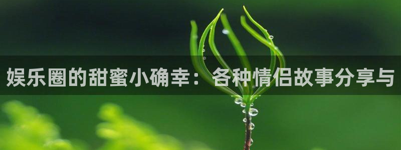 环球360一比一：娱乐圈的甜蜜小确幸：各种情侣故事分享与