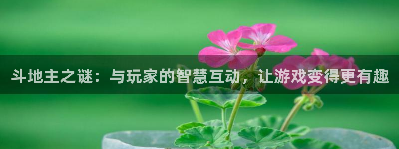 环球360娱乐官网免费观看：斗地主之谜：与玩家的智慧互动，让游戏变得更有趣