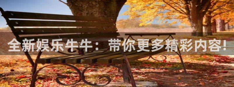 环球360：全新娱乐牛牛：带你更多精彩内容!