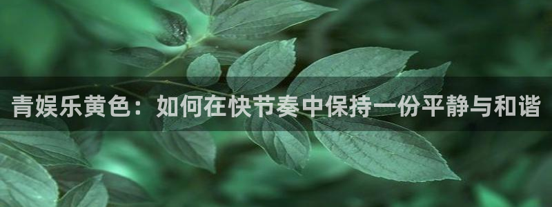 环球360一比一：青娱乐黄色：如何在快节奏中保持一份平静与和谐