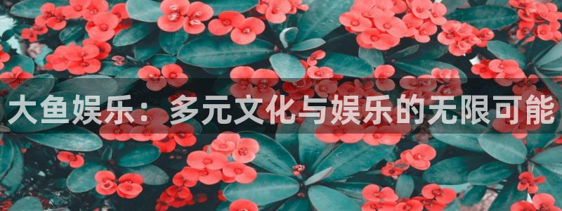 环球360：大鱼娱乐：多元文化与娱乐的无限可能