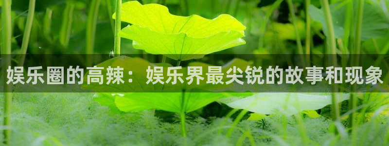 环球360登录入口：娱乐圈的高辣：娱乐界最尖锐的故事和现象