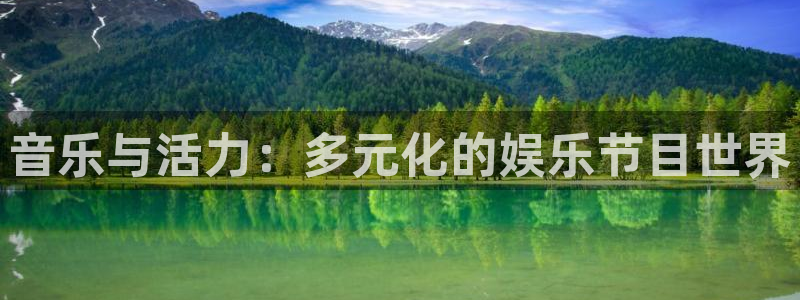 环球360私网一比一：音乐与活力：多元化的娱乐节目世界