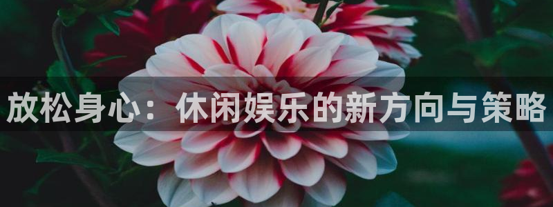 环球360一比一上分：放松身心：休闲娱乐的新方向与策略