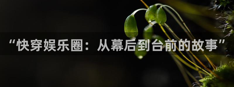 环球360一比一上分：“快穿娱乐圈：从幕后到台前的故事”