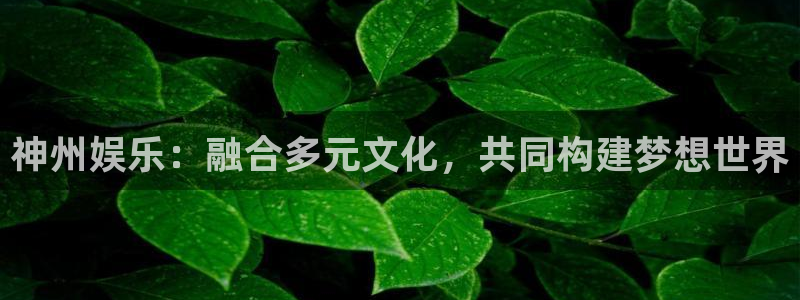 环球360私网一比一：神州娱乐：融合多元文化，共同构建梦想世界