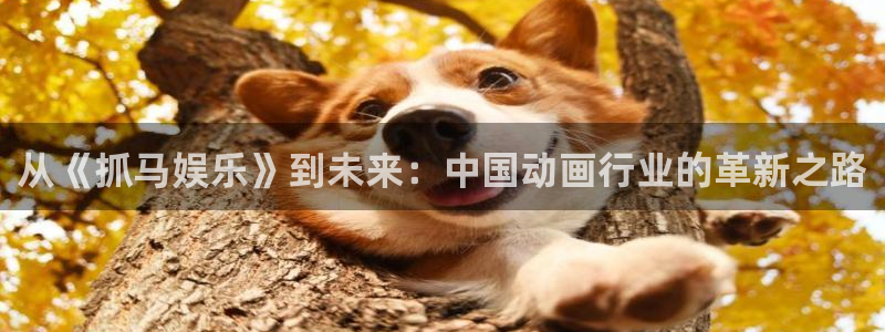 环球360娱乐官网免费观看：从《抓马娱乐》到未来：中国动画行业的革新之路