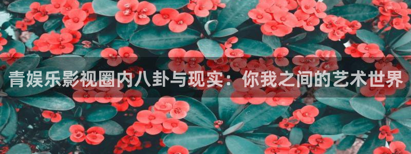 环球360一比一：青娱乐影视圈内八卦与现实：你我之间的艺术世界