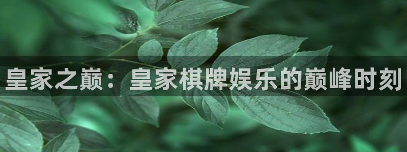 环球360：皇家之巅：皇家棋牌娱乐的巅峰时刻