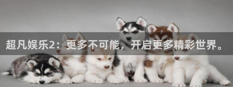 环球360登录入口：超凡娱乐2：更多不可能，开启更多精彩世界。