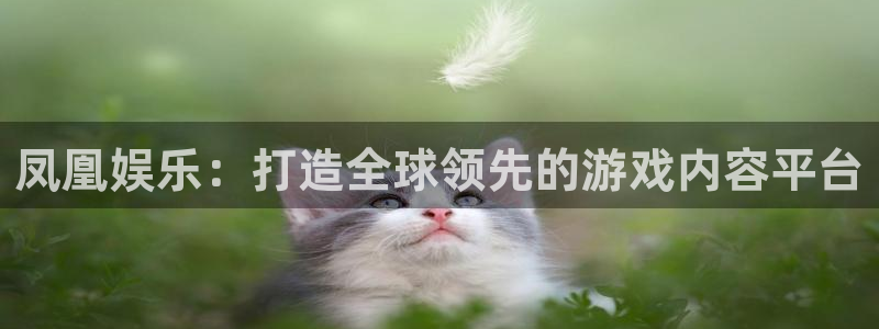 环球360：凤凰娱乐：打造全球领先的游戏内容平台