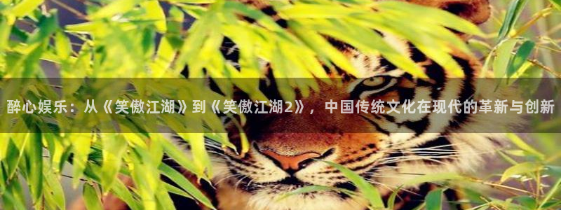 环球360私网一比一：醉心娱乐：从《笑傲江湖》到《笑傲江湖2》，中国传统文化在现代的革新与创新
